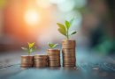 Estratégias Para Investir Em Um Mercado De Alta
